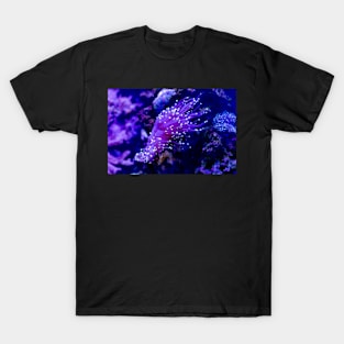 Purple neon Torch coral T-Shirt